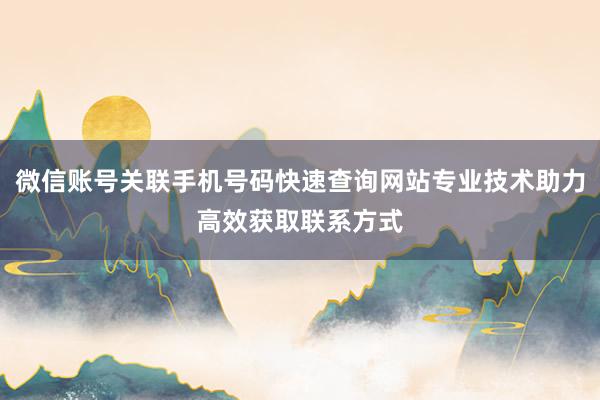 微信账号关联手机号码快速查询网站专业技术助力高效获取联系方式