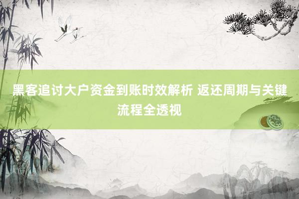 黑客追讨大户资金到账时效解析 返还周期与关键流程全透视