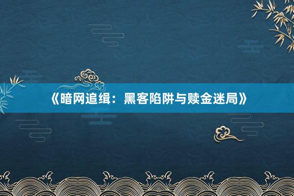 《暗网追缉：黑客陷阱与赎金迷局》
